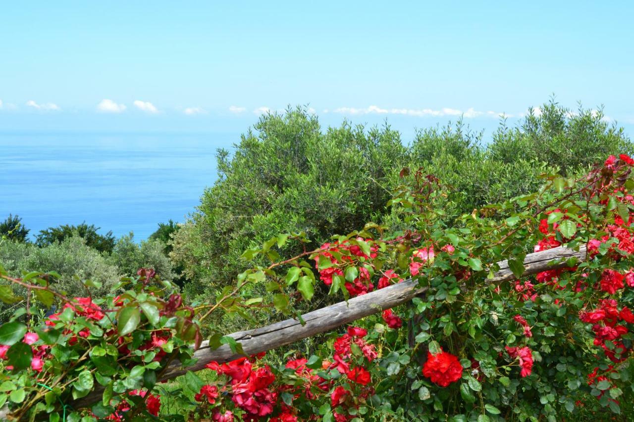 Borgo Rosso Di Sera - Resort Country Chic 3*