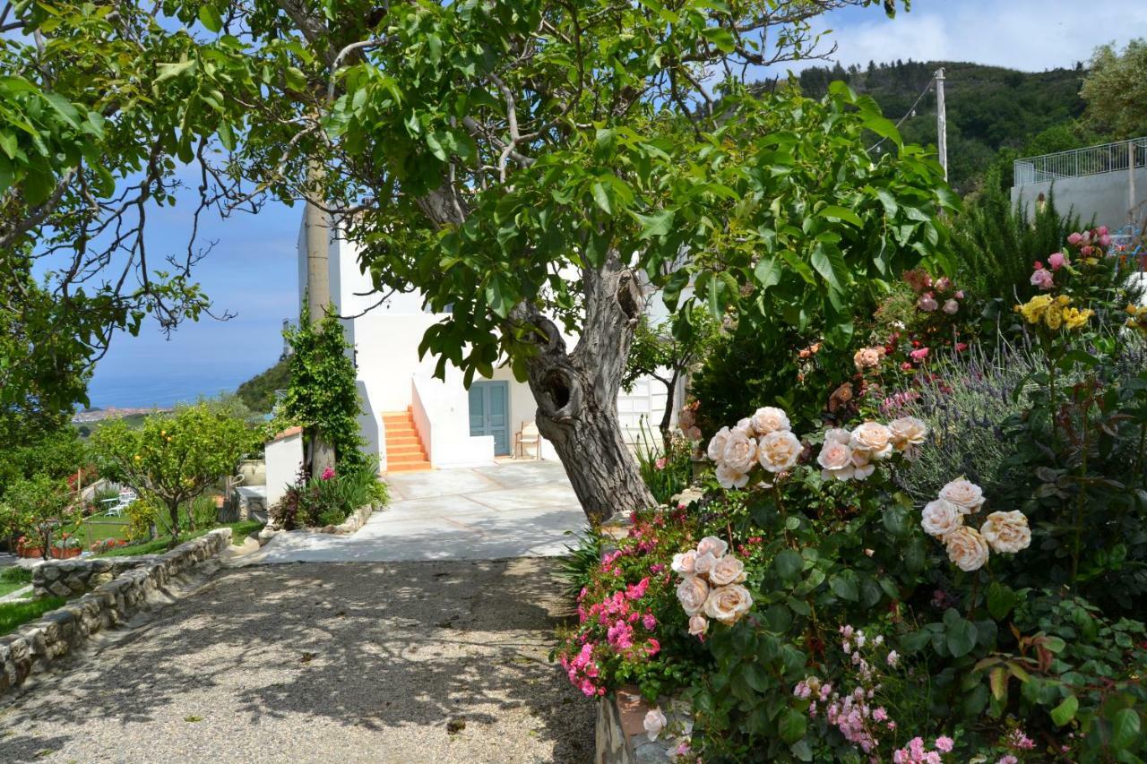 Resort Borgo Rosso Di Sera - Resort Country Chic San Lucido