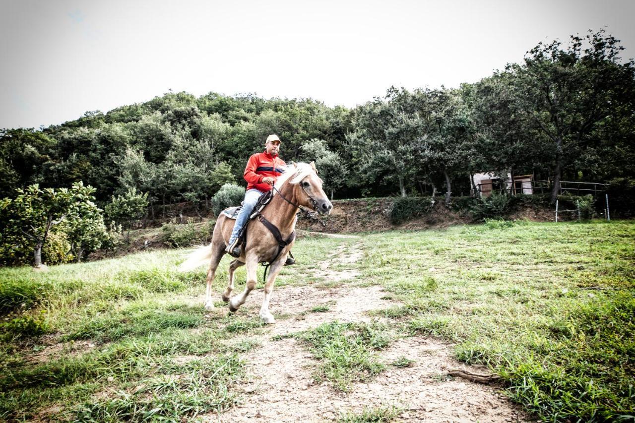 Borgo Rosso Di Sera - Resort Country Chic Resort