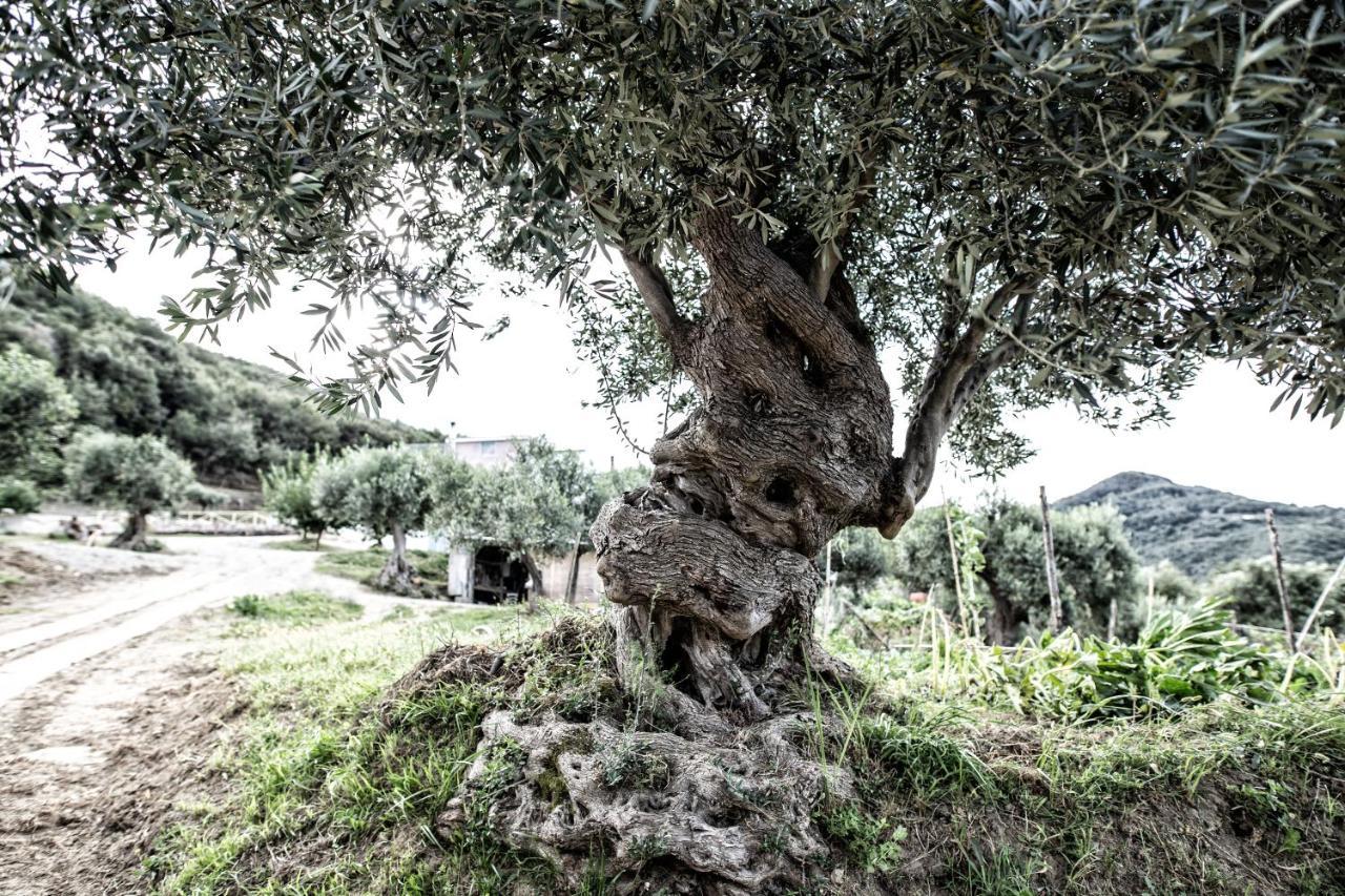 Borgo Rosso Di Sera - Resort Country Chic 3* San Lucido