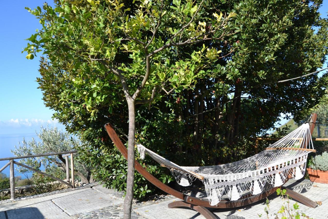 Resort Borgo Rosso Di Sera - Resort Country Chic San Lucido