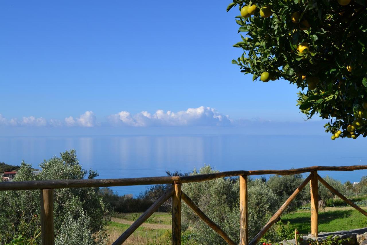 Borgo Rosso Di Sera - Resort Country Chic San Lucido